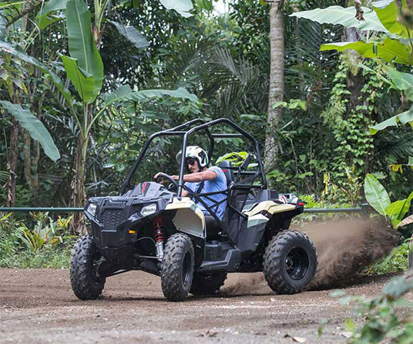 atv and buggy